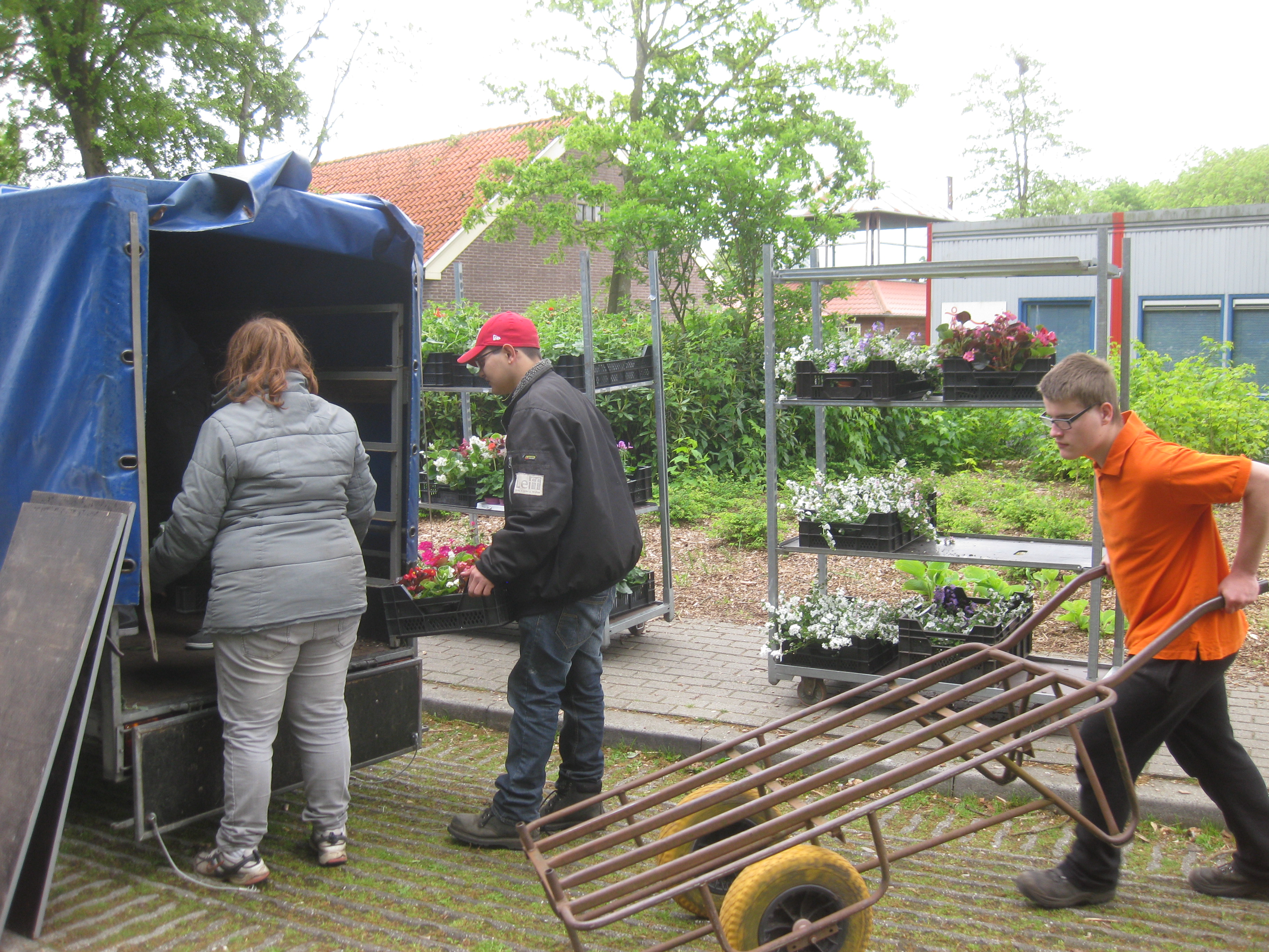 leerlingen laden planten in een wagen voor transport